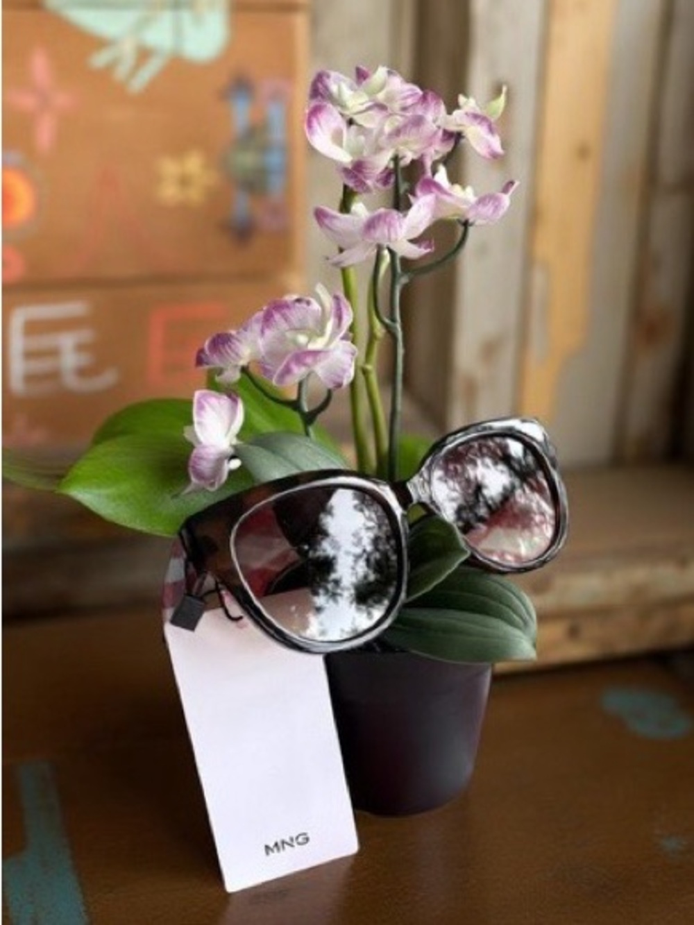 Mango Sunglasses